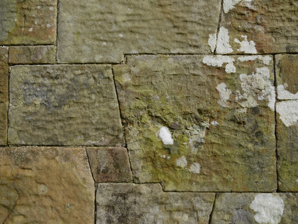 A single stone in the wall