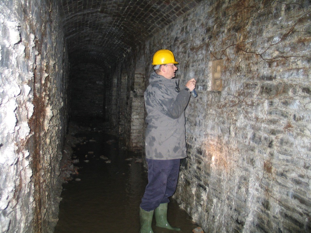 In the Hafod cellars 2006